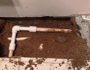 钦州市测漏水哪家好