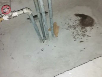 钦州市卫生间测漏水价格明细